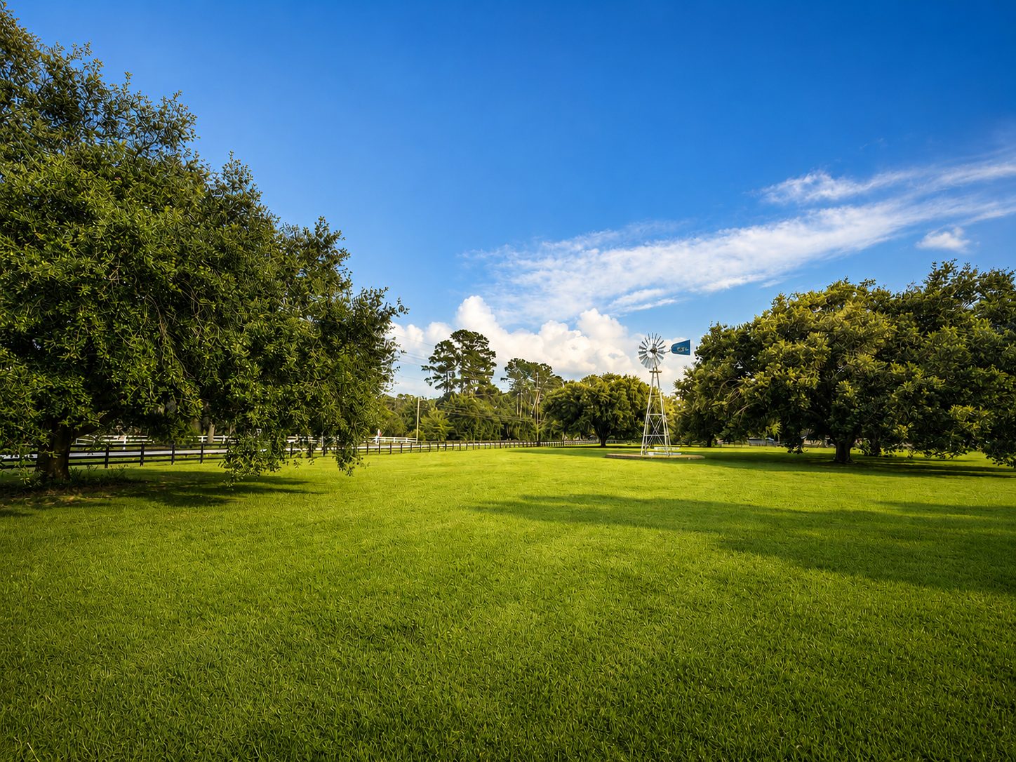 Mature oaks and grounds at Cypress Wellness Campus